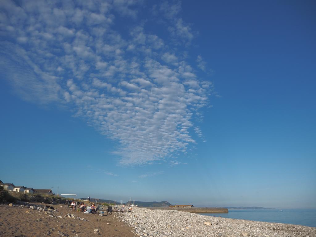 Dorset House Bed & Breakfast Lyme Regis Dış mekan fotoğraf