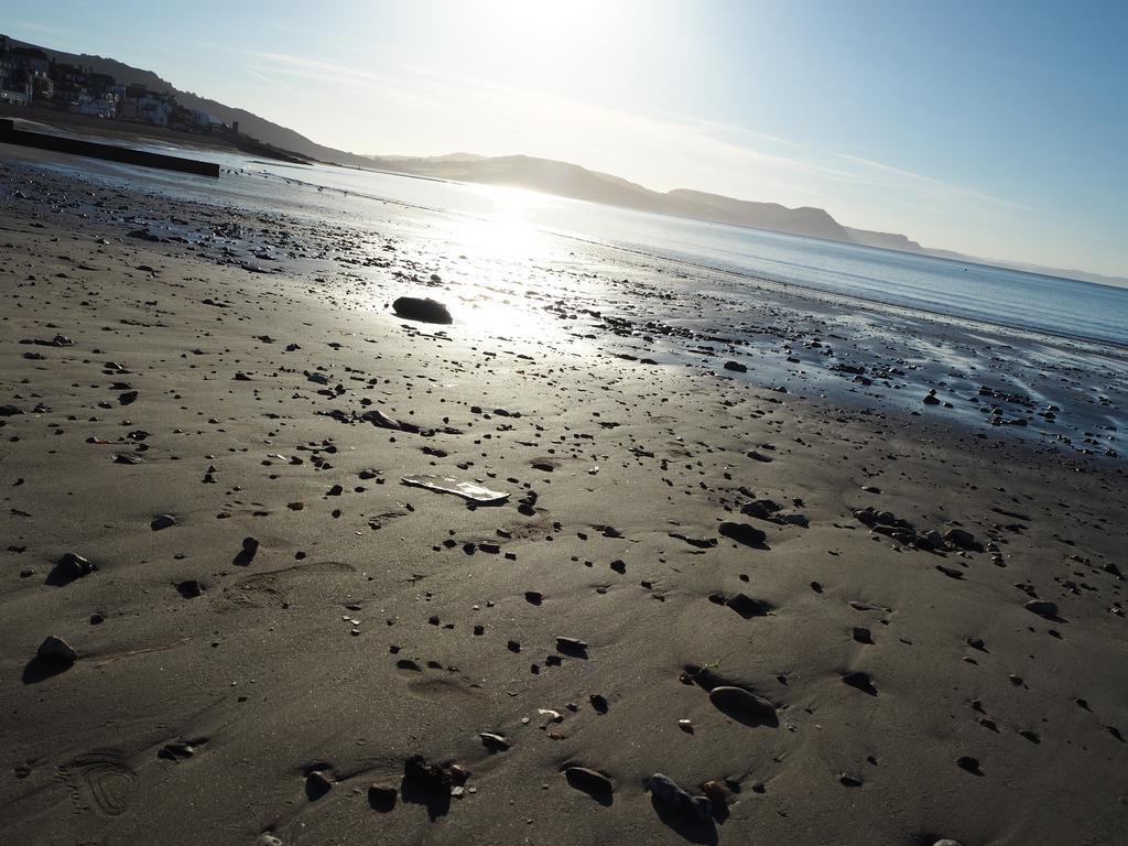 Dorset House Bed & Breakfast Lyme Regis Dış mekan fotoğraf