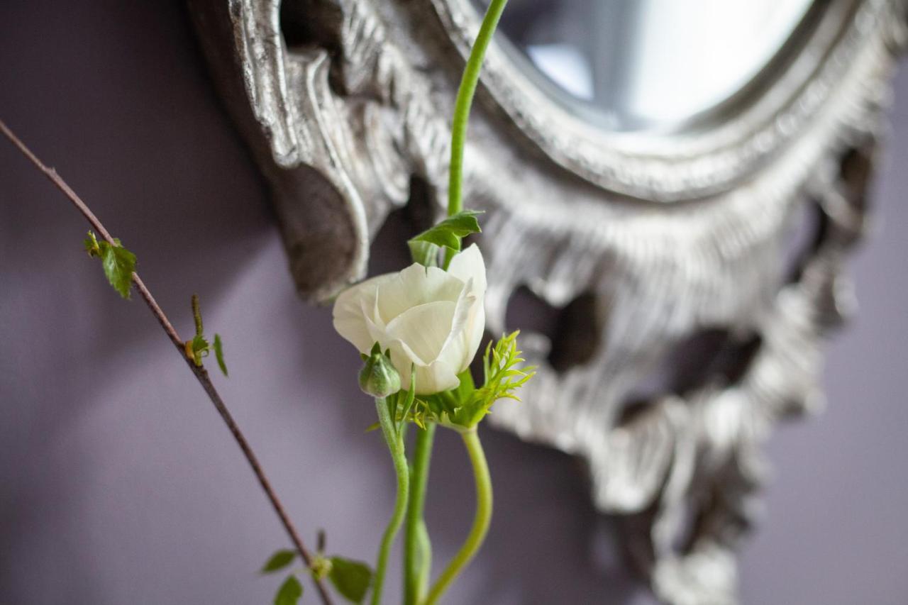 Dorset House Bed & Breakfast Lyme Regis Dış mekan fotoğraf